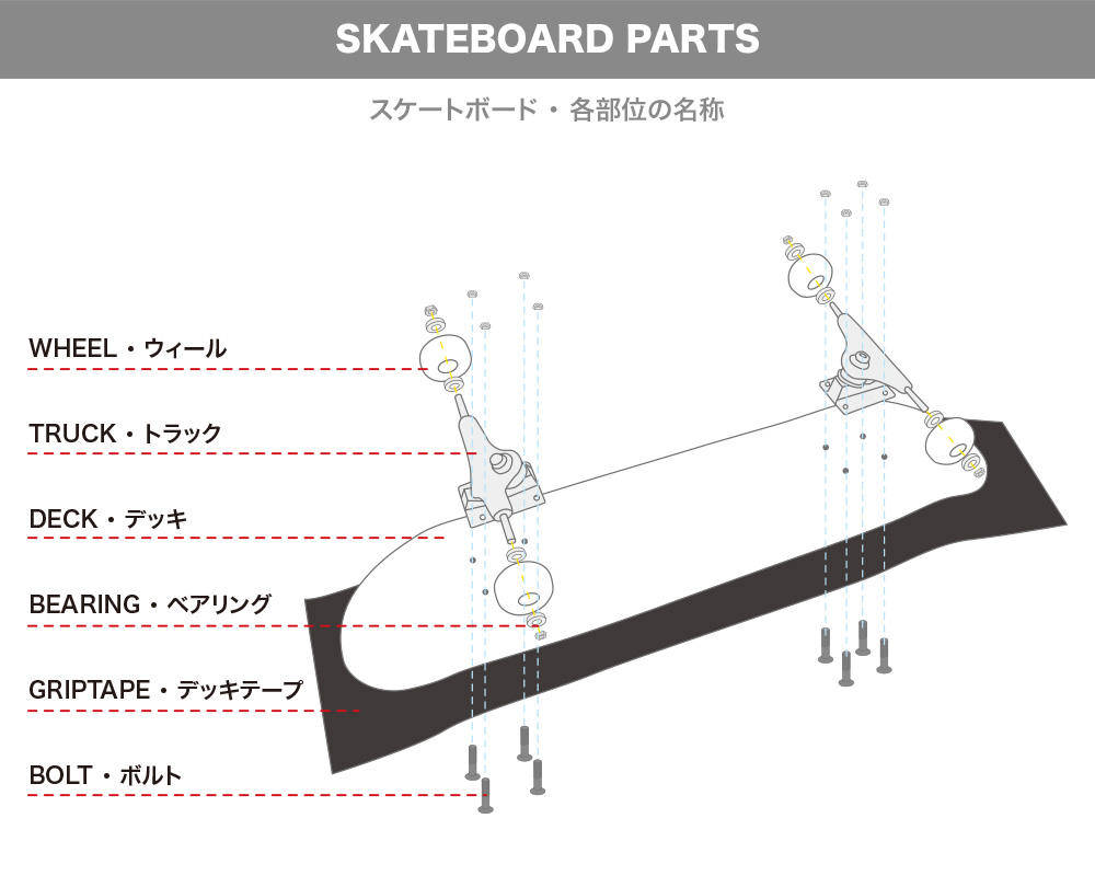 【スケートボードのパーツ名称】