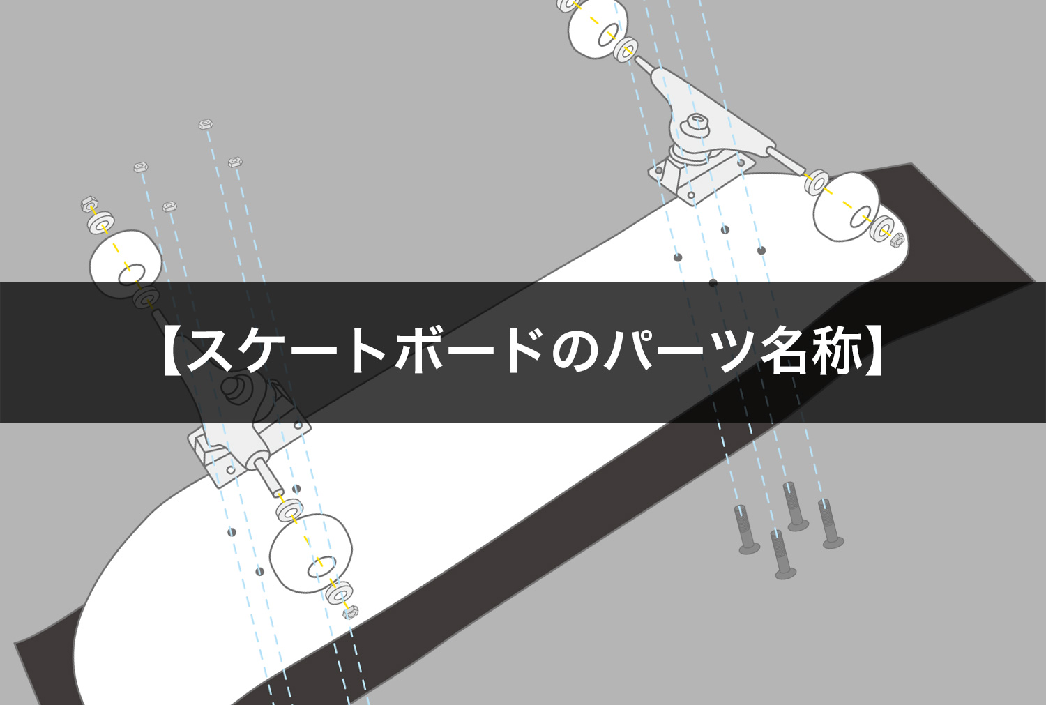 スケートボード（スケボー）初心者の方へ【スケートボードのパーツ名称】