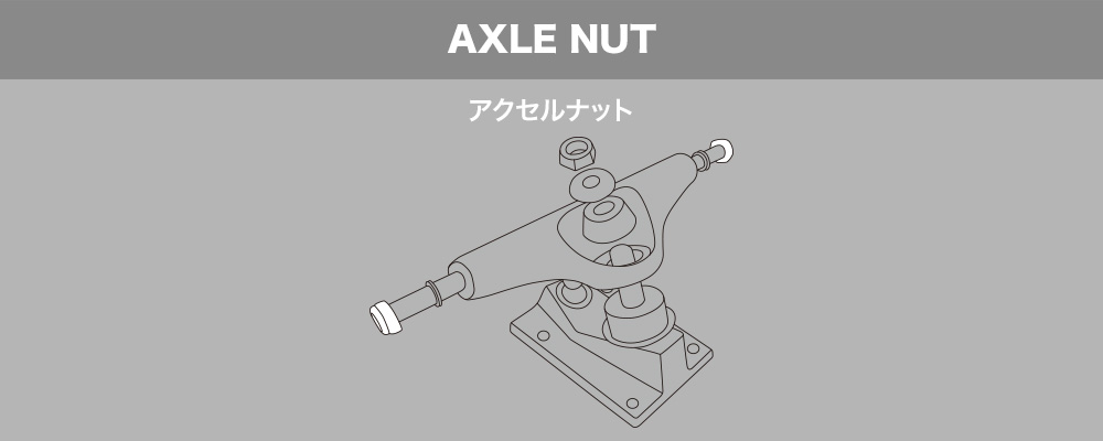 スケートボード（スケボー）初心者の方へ【スケートボードのトラックパーツ名称】AXEL NUT アクセルナット