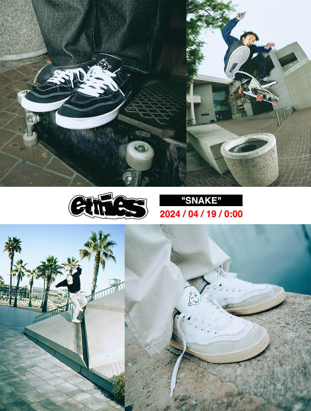 ETNIES シューズ SNAKE MAIL1