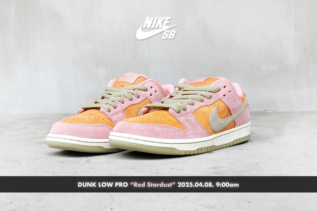 NIKE SB シューズ DUNK LOW PRO "Stardust Red" HJ4135-600 TOP